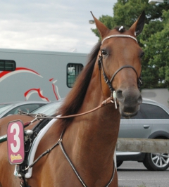 Random Shot 130808-9